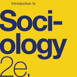 Socialization